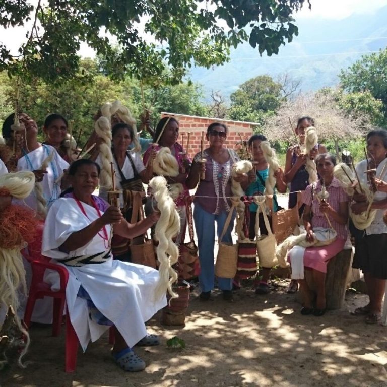 Groupe de femmes idigene colombienne en tenues traditionnelles, entourées de verdure, célébrant leur culture.