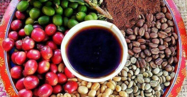 Assiette colorée avec café, baies de café, épices et grains de café.